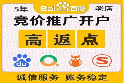 案例分析：SEM广告助力电商行业突破